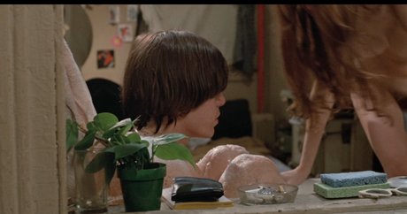 Susan Sarandon 完璧なスター 写真