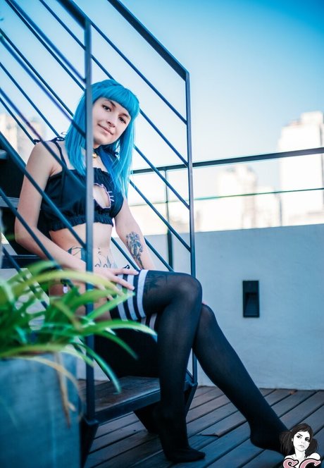 Wingsweak HDモデル 画像