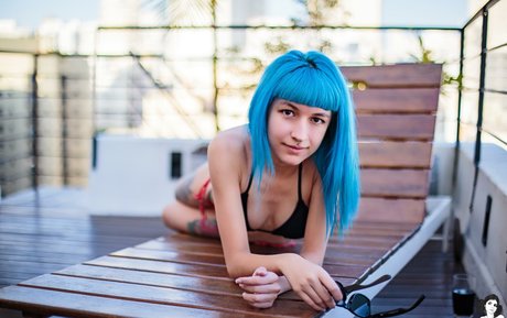 Wingsweak profile image