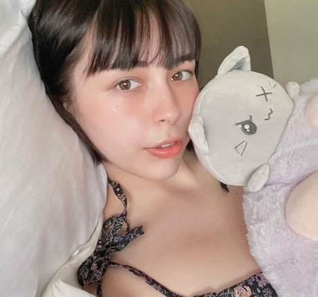 シーンオンリーファン トップ 写真