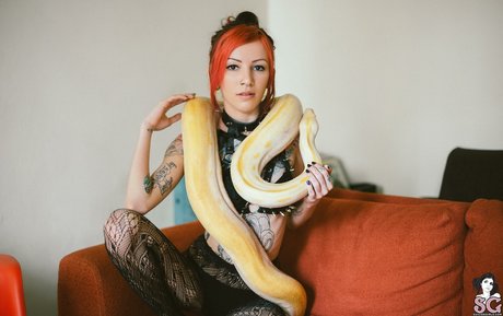 Juh Connie セクシーなスター 写真