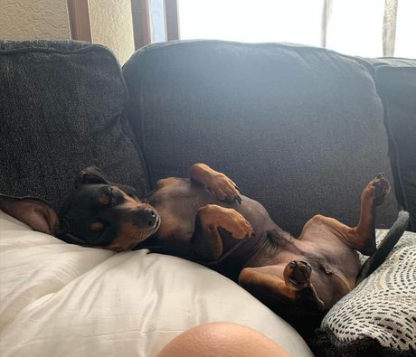 コメディアンのOnlyFans 美しいヌード ギャラリー