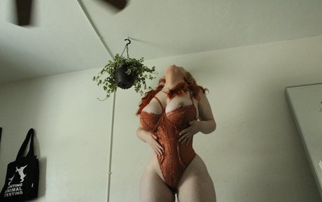 DMV オンリーファン パーフェクト 写真