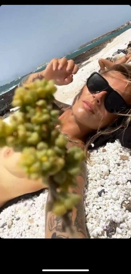 pani kotta HDスター ギャラリー