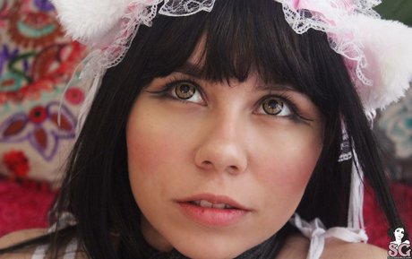 エボニートランスオンリーファンズ ホット 写真