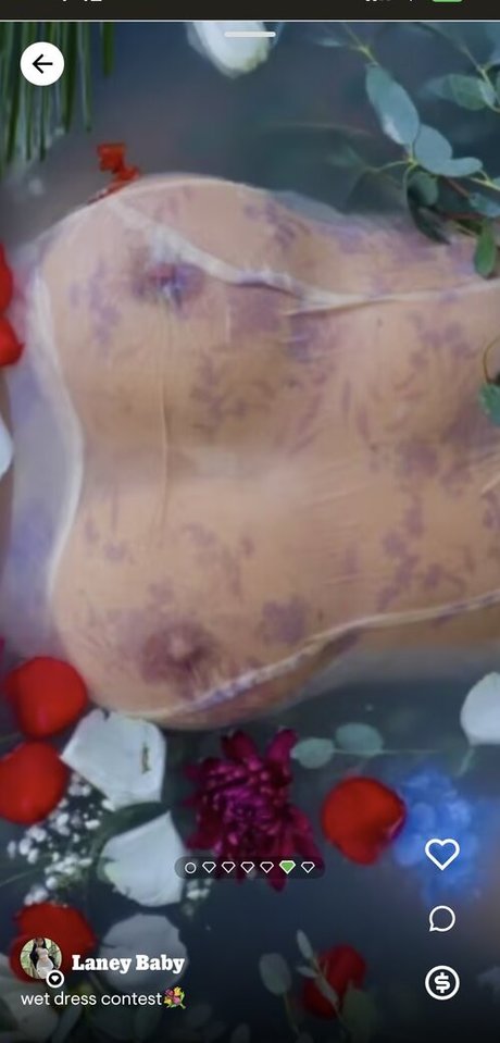 Laney Baby 独占スター ギャラリー