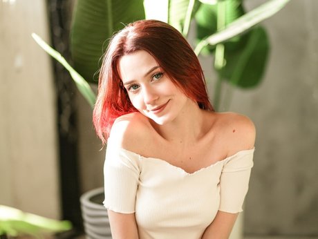 Pumpur mur 独占スター 画像