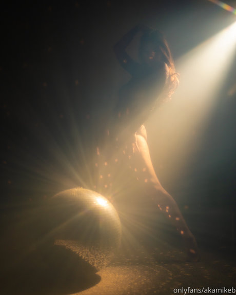 Jazz Reilly_ top profile image