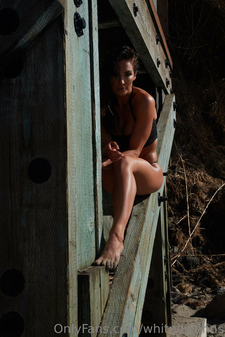 ディスコード トランス OnlyFans エロチック 画像