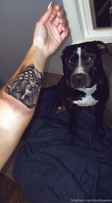 dontbaeme アートポルノスター ギャラリー