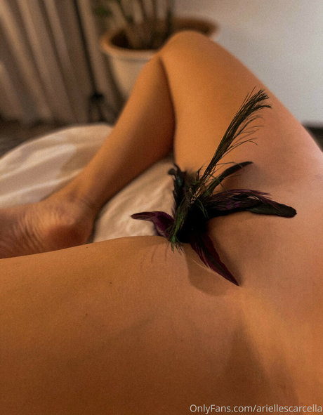 Arielle Scarcella HDポルノスター 写真