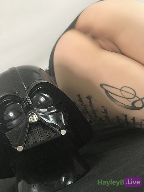 フィンドムオンリーファンズ トップ アーカイブ