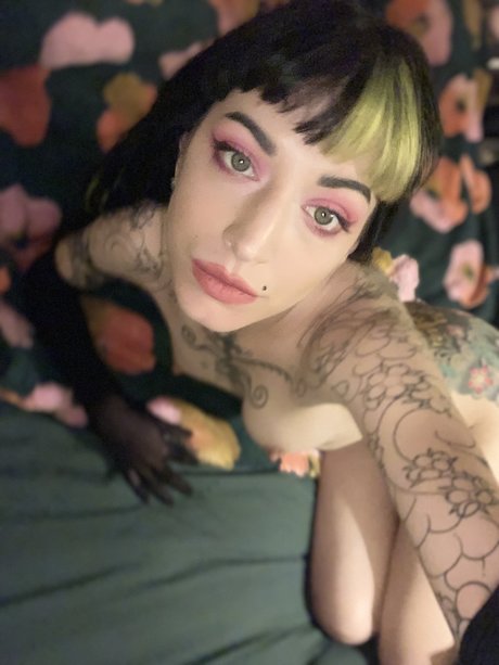 Miss Fernandez アートスター 写真