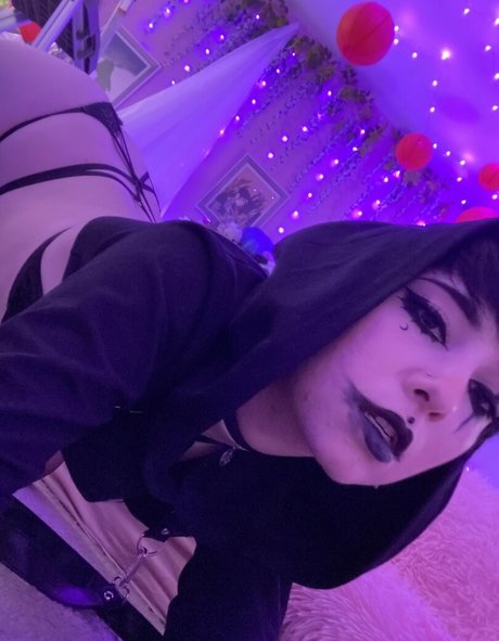 Boogainvillea アートポルノスター 画像