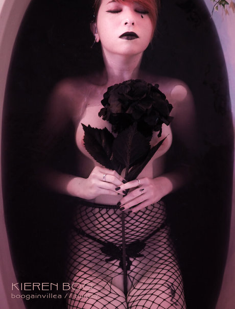 Boogainvillea アダルトスター 画像