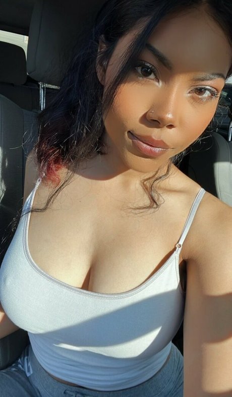 aly8008cat ホットスター 写真