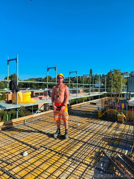 Cheddahbounce 高品質モデル 画像