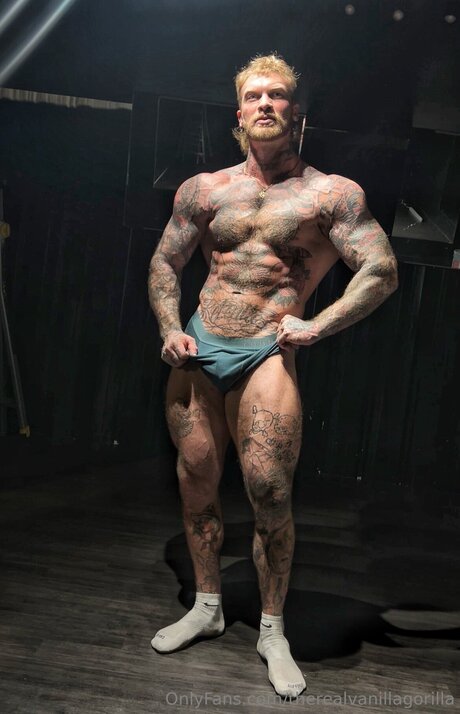 Therealvanillagorilla HDモデル 写真