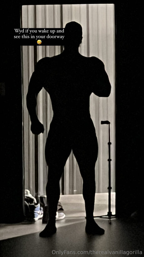 Therealvanillagorilla セクシーモデル 画像