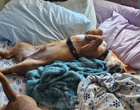 Alexablu00 スターセックス 写真