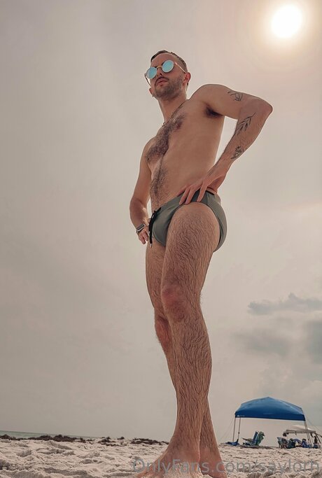 Saylorh 無料のスター ギャラリー