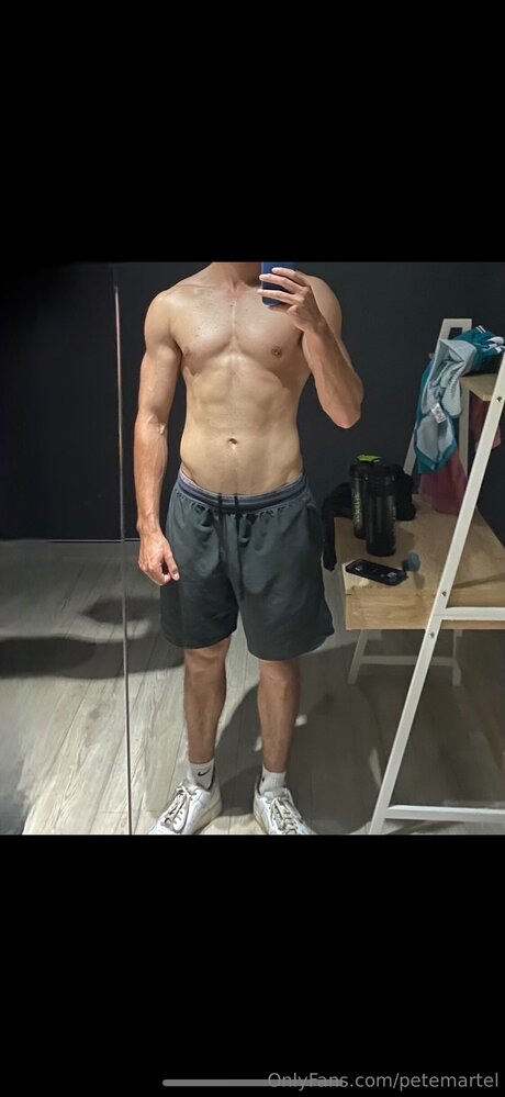 Petemartel アートスター 写真