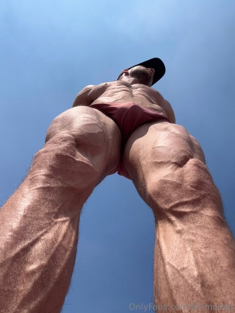 Lehmodog top profile image