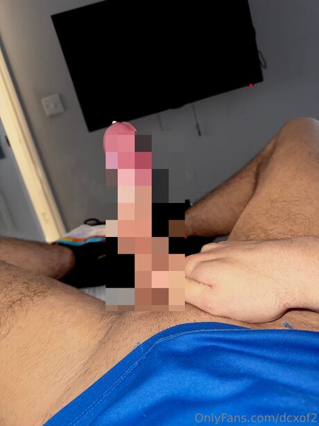 Dcxof2 ポルノスター ホット 写真