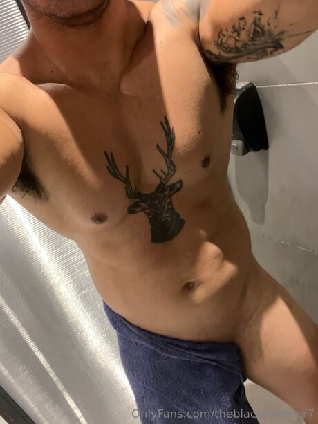 アマチュアトランスオンリーファン アートxxx ギャラリー