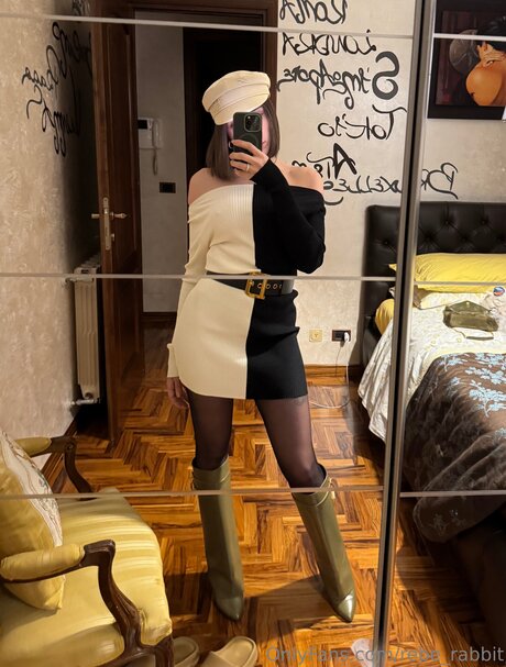 Rebe Rabbit 無料スター 写真