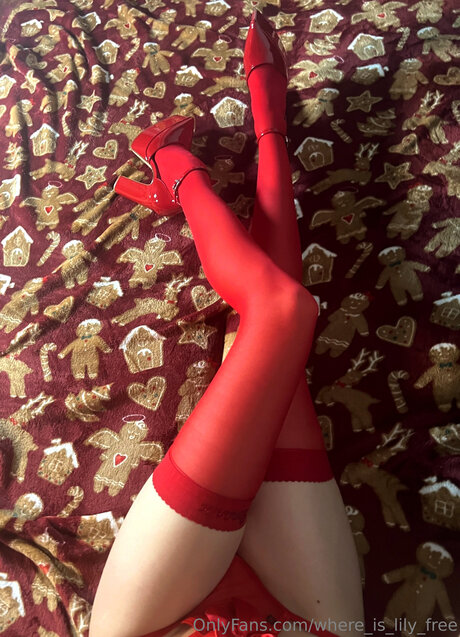 Where Is Lily Free 無料のポルノスター 写真