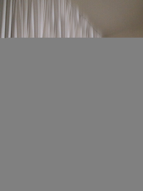 Cyber Dragon 独占ポルノスター 写真