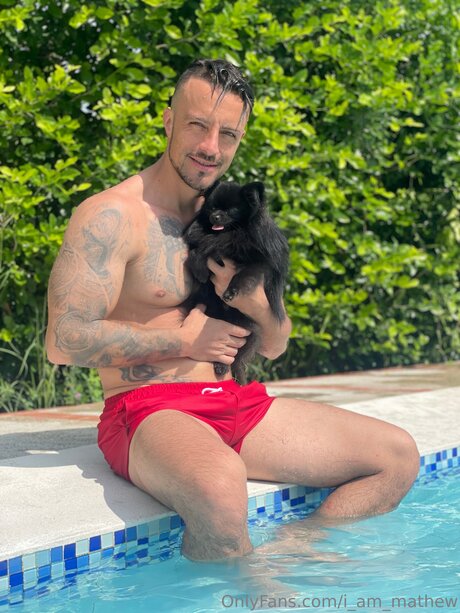 公共の場での猫のOnlyFans ホット 写真