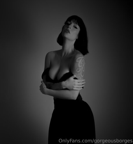 Gorgeousborges 完璧なスター 画像