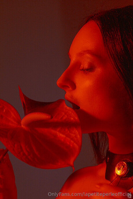 Lapetiteperleofficial ヌードのポルノスター 画像