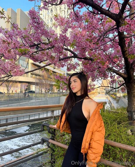 Lilkittyleetv セクシーなポルノスター 写真