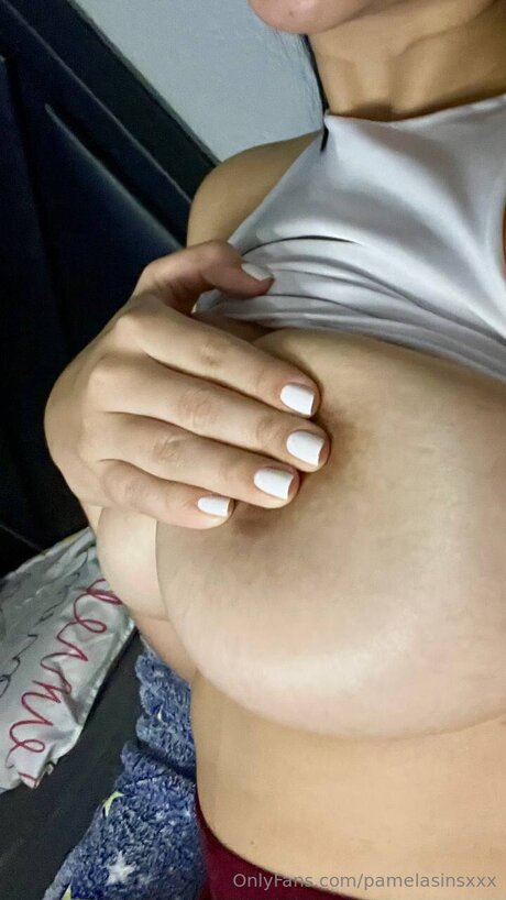 Pamelasinsxxx ポルノスター アート アーカイブ