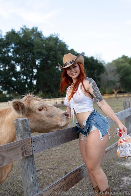 Sinatramonroeoftv アート女優 ギャラリー