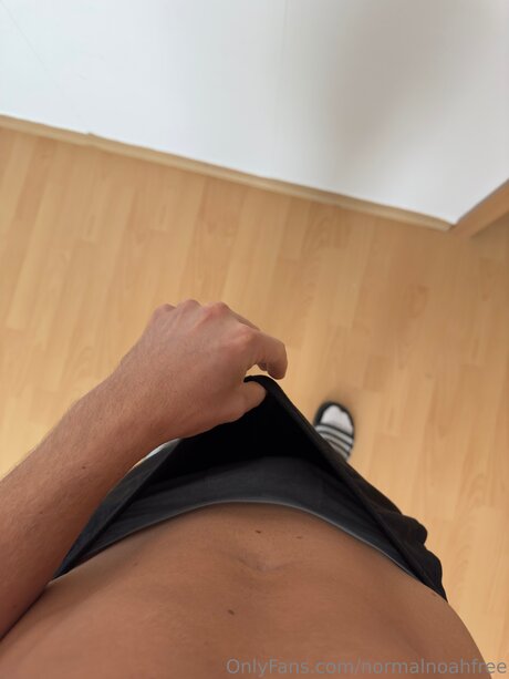 Normalnoahfree 高品質のポルノスター 画像