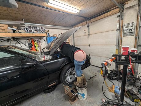 Wildcounryred ポルノスター 裸 写真