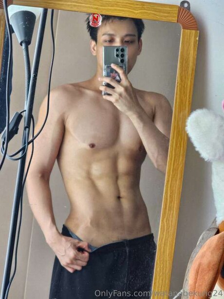 Watanabekung24 スター 写真