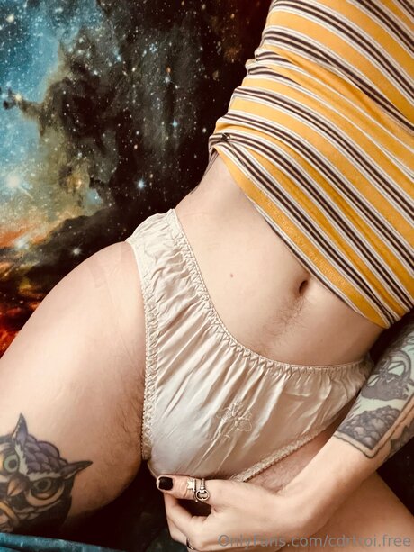 Cdrtroi Free 完璧な女優 写真