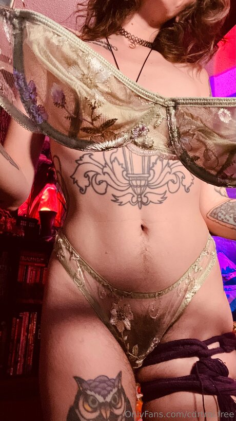 Cdrtroi Free 完璧なスター 写真