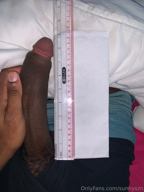 Sunnyszn ポルノスター パーフェクト 写真