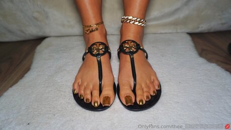 DMV オンリーファン HD 画像