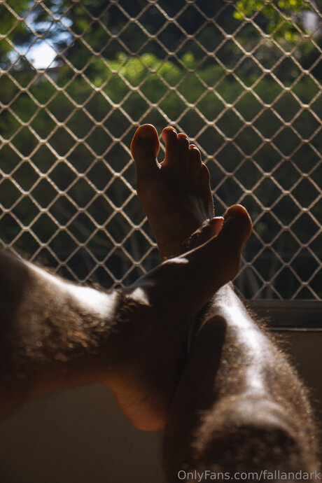 Fallandark HDモデル 写真