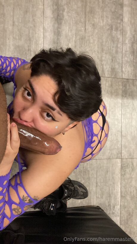 Haremmasterx XXXモデル 画像