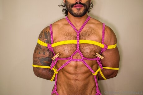 Zhavala ポルノスター 無料 ギャラリー