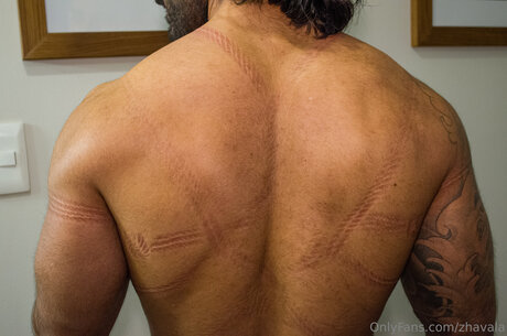 Zhavala セクシー女優 画像