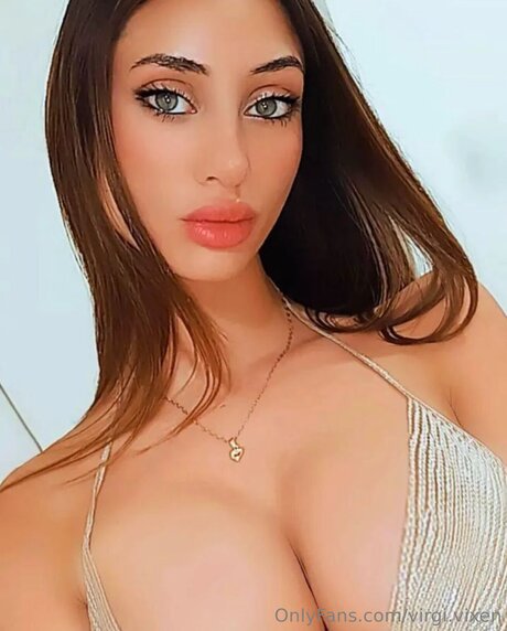 Virgi Vixen 完璧な女優 画像